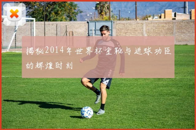 揭秘2014年世界杯金靴与进球功臣的辉煌时刻